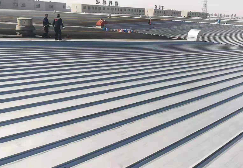 ���S���������������P